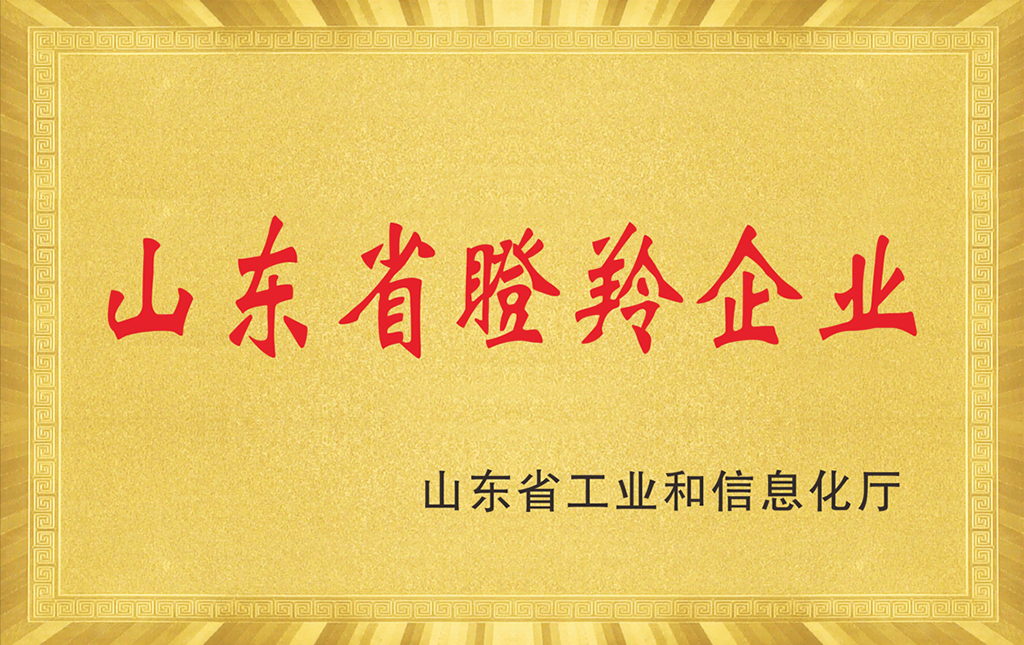 山東省瞪羚企業(yè)