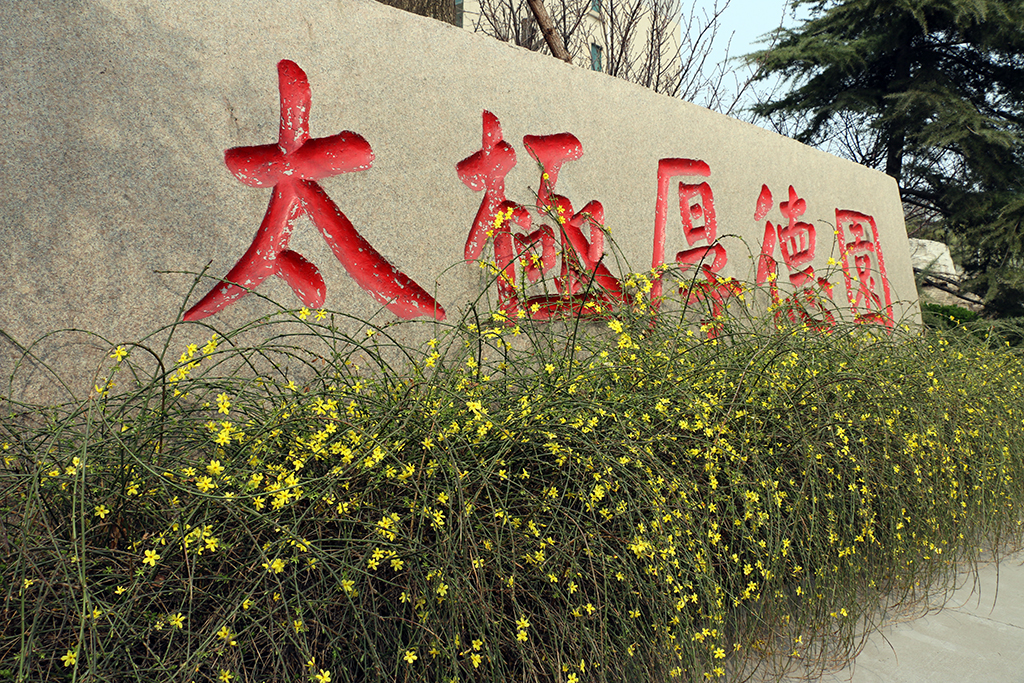 職工高檔生活區(qū)—太極厚德園
